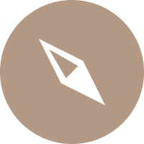 Control icon
