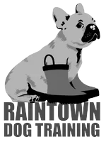 Raintown Dog Training