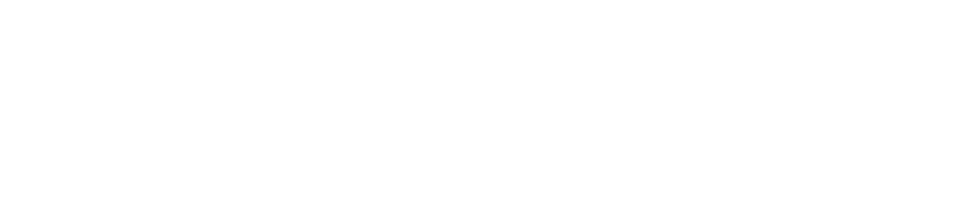 Ecoverity