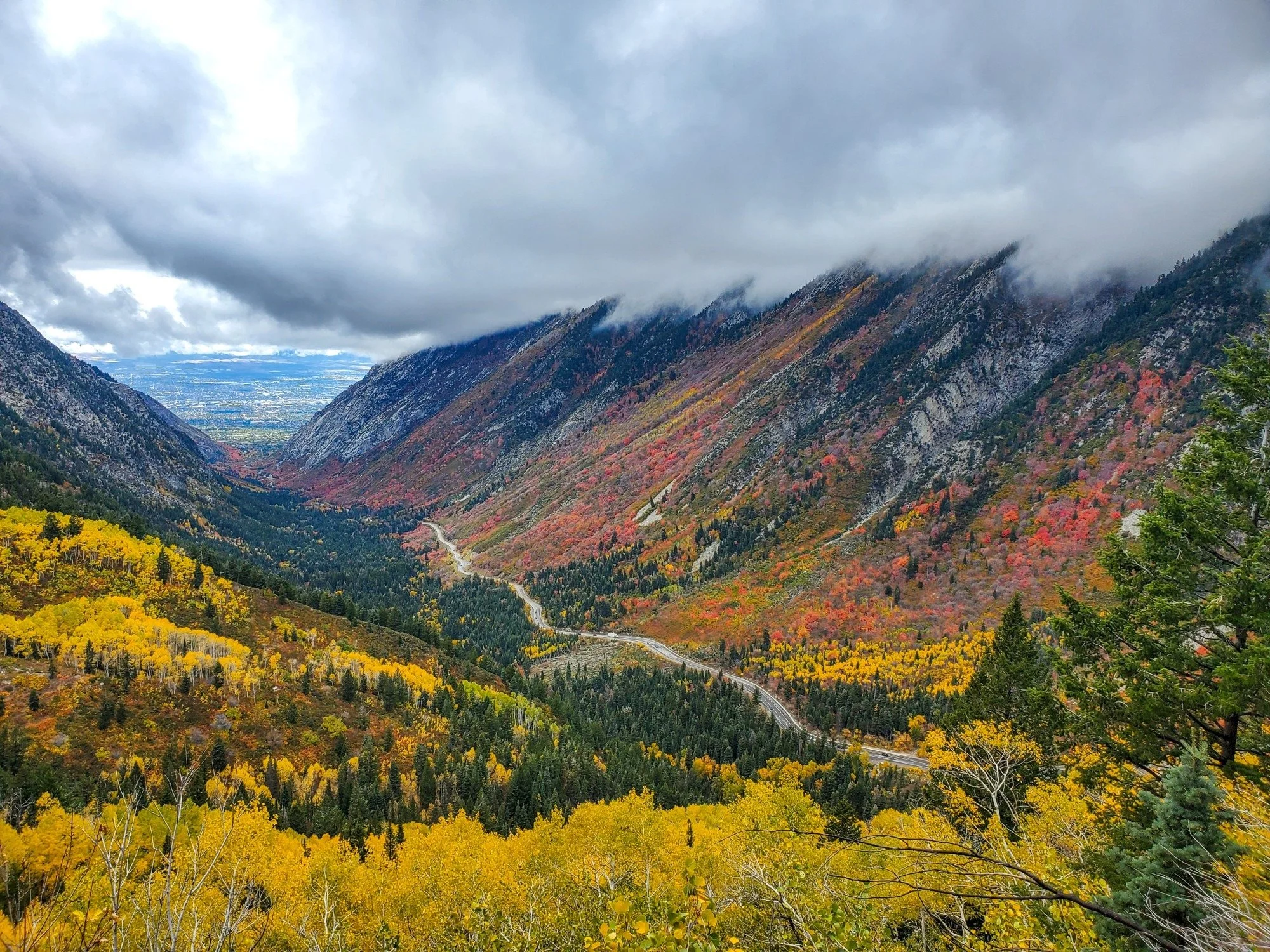 Autumn colors beneath low clouds in a Wasatch mountain canyon