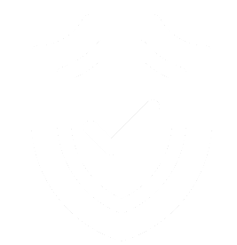 Insurance protection icon
