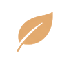Leaf Icon