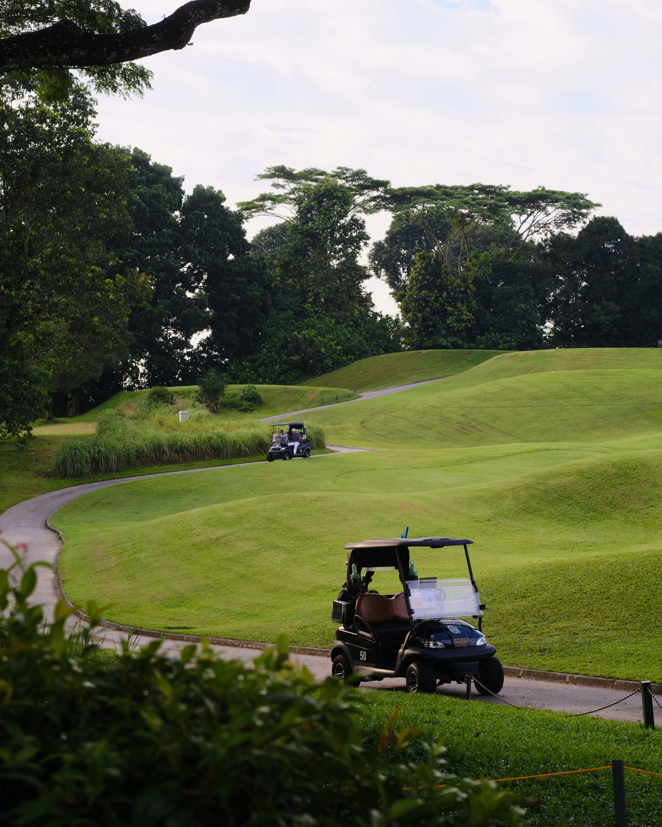 Golfer on course