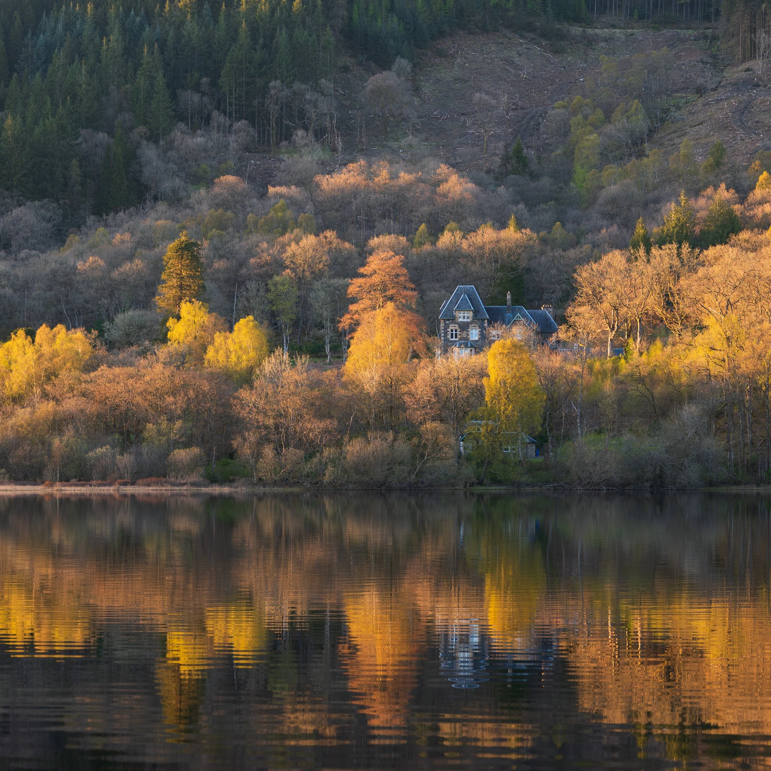 Trossachs landscape