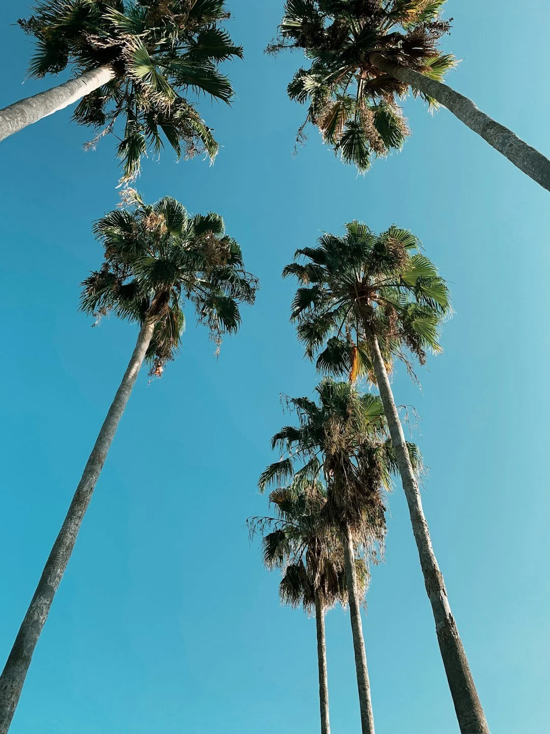 Testing Available in Orlando Image