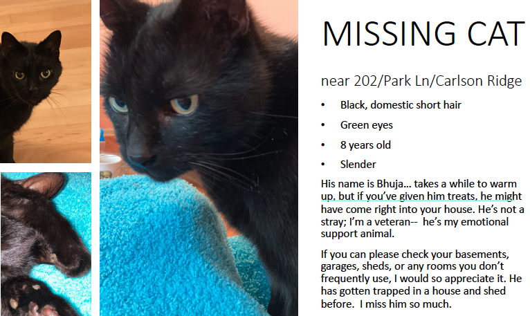 Missing cat flyer for Bhuja