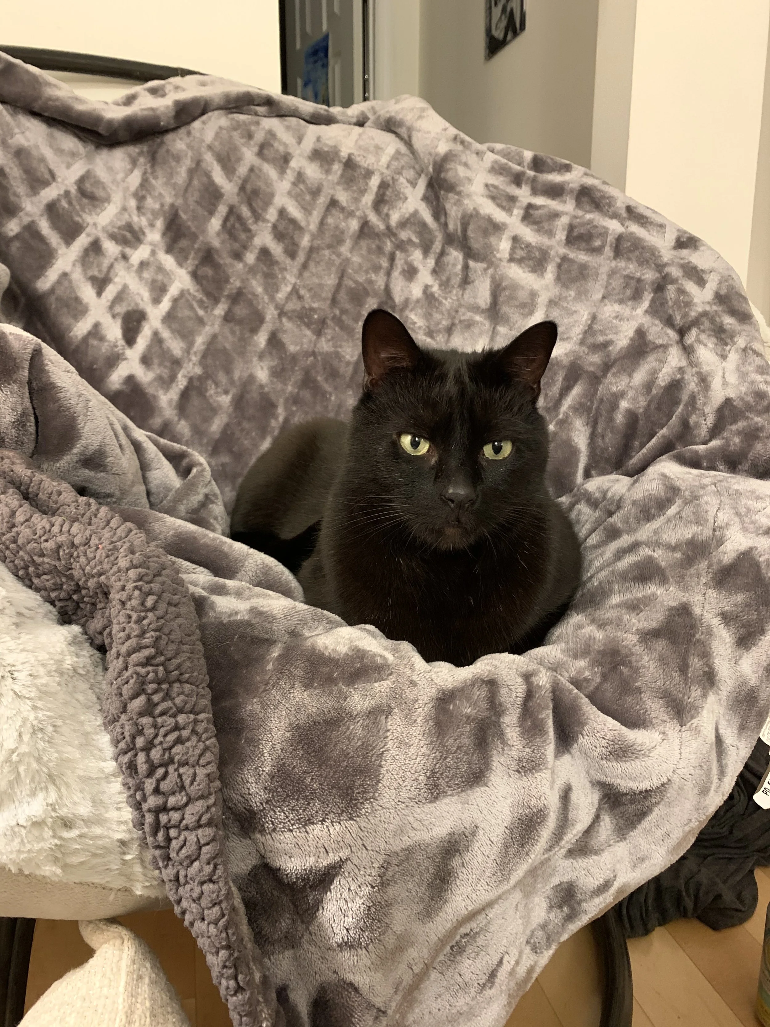 Bhuja - Profile Photo