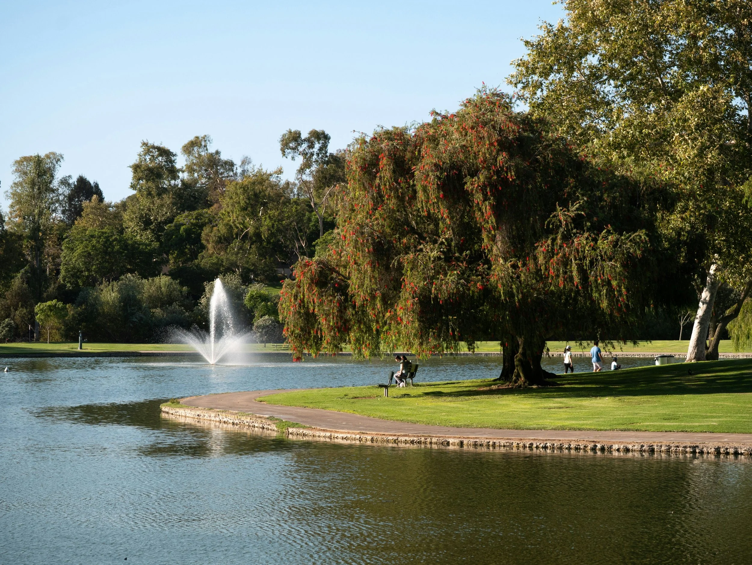 Lake, fountain, and mature trees at William R. Mason Regional Park in Irvine, California