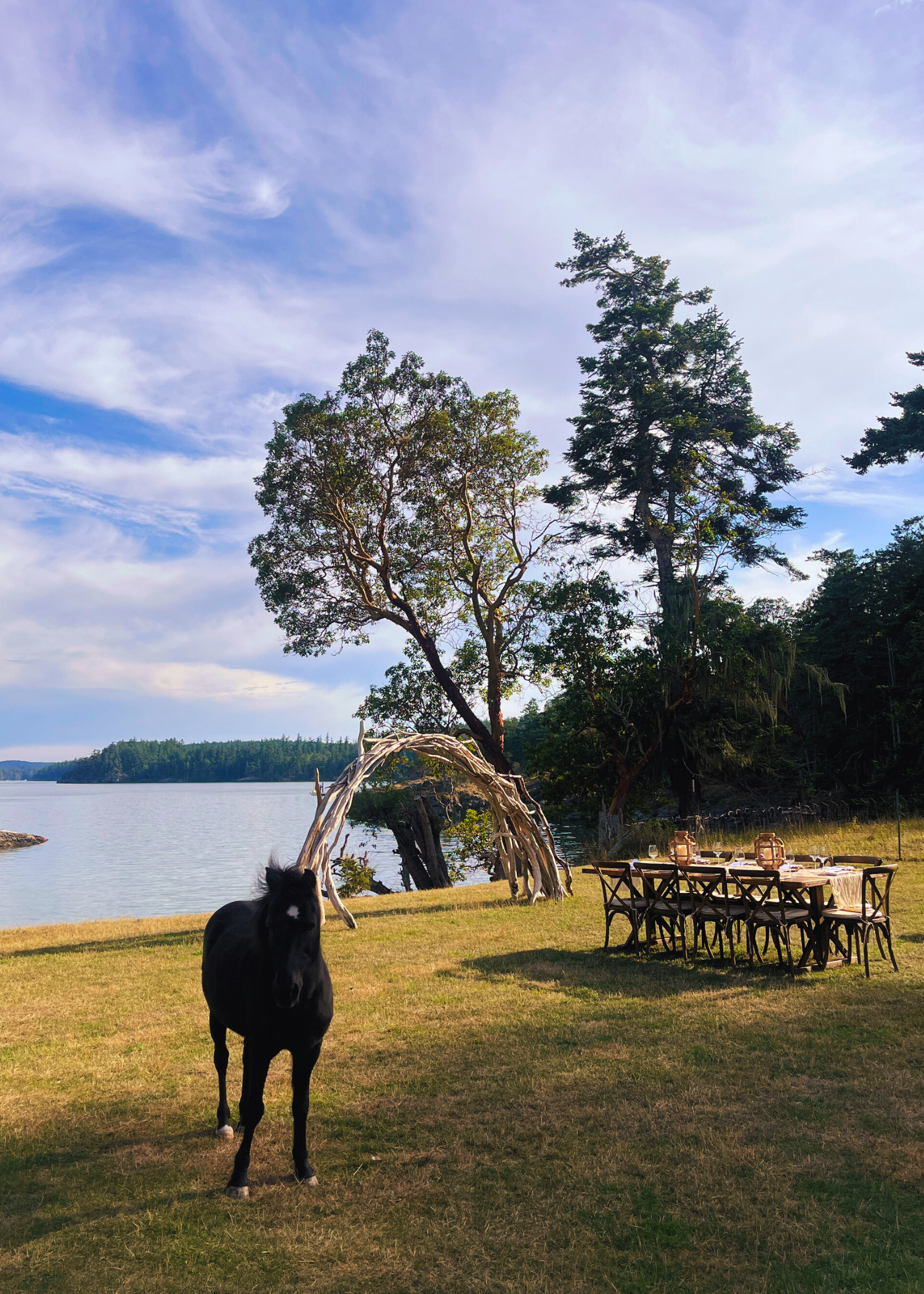 Waterfront Reception