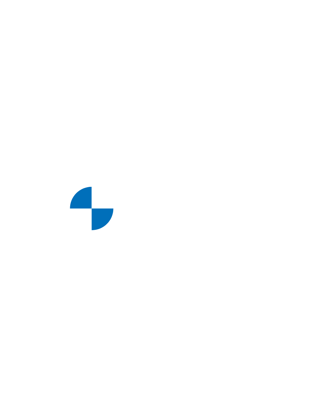 BMW Ocean Group