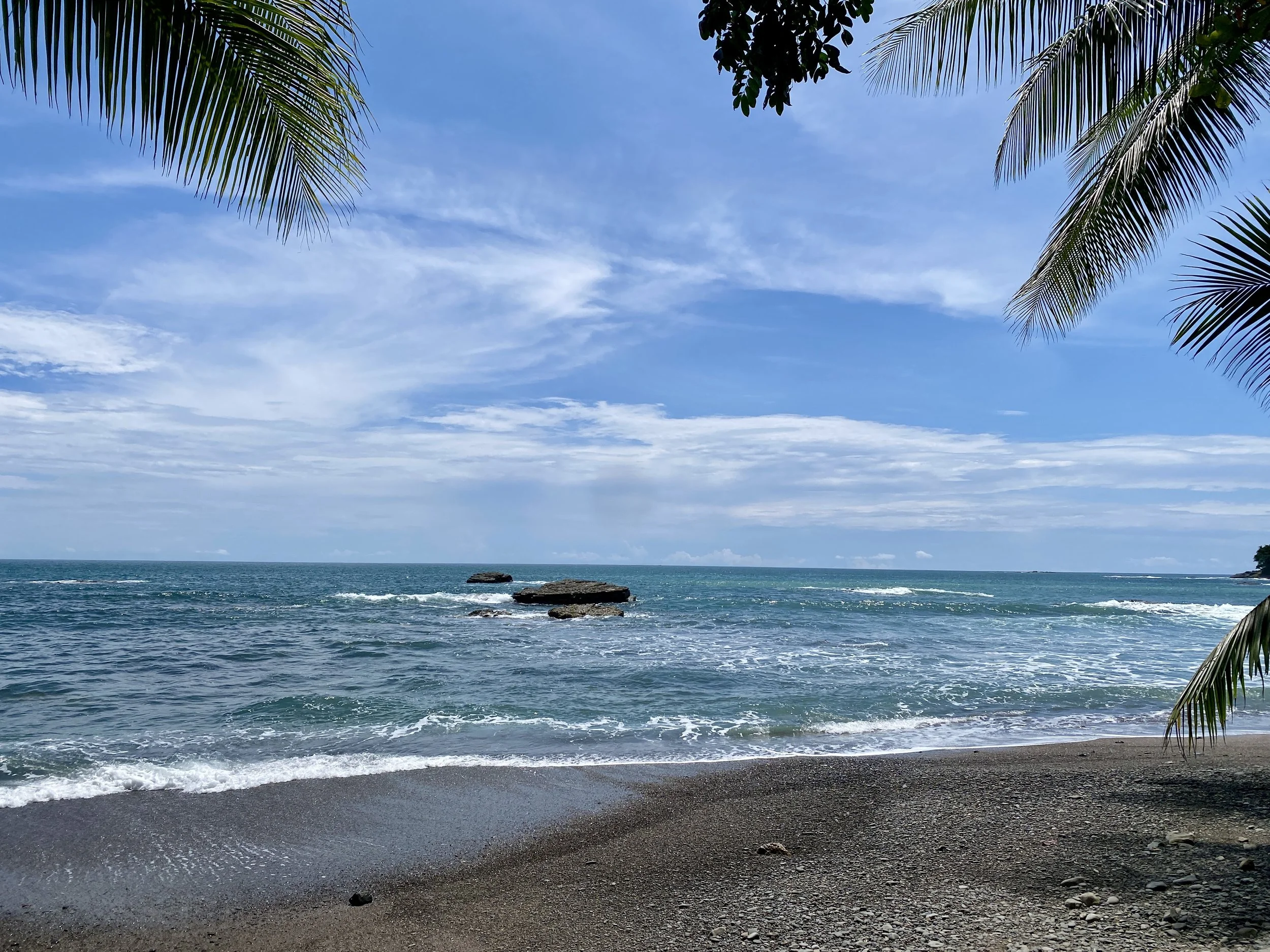 Palm-framed beach and Pacific Ocean at our beachfront location near Uvita