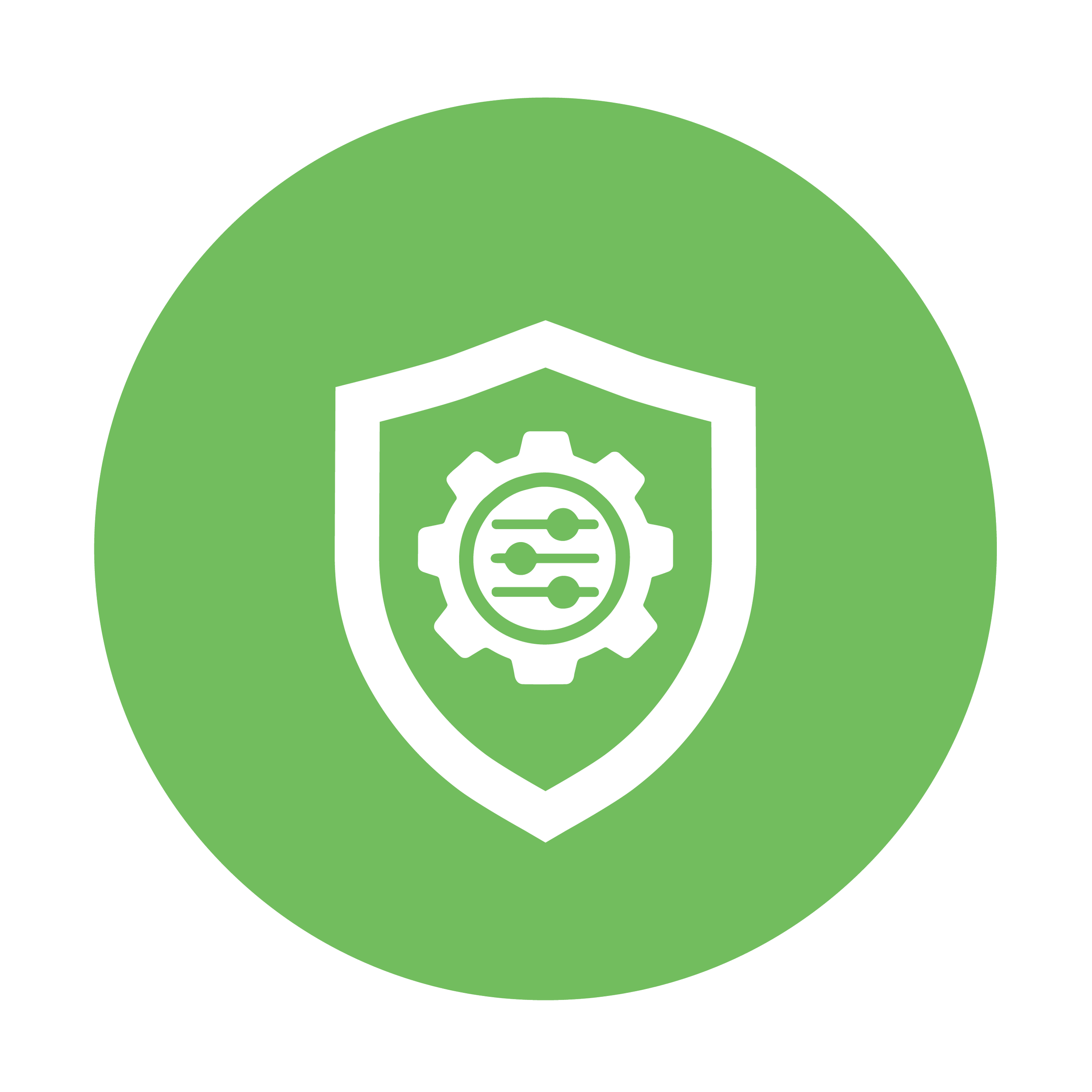 Inner Governance icon