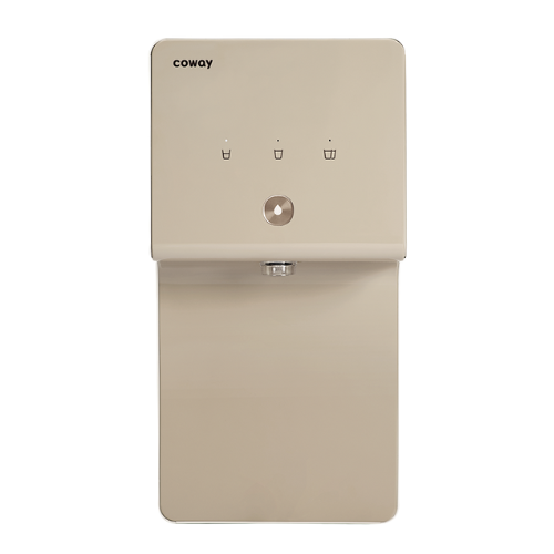 Coway Cinnamon P-6320R