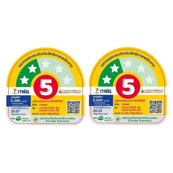 Beyond Cool ไลฟ์สไตล์