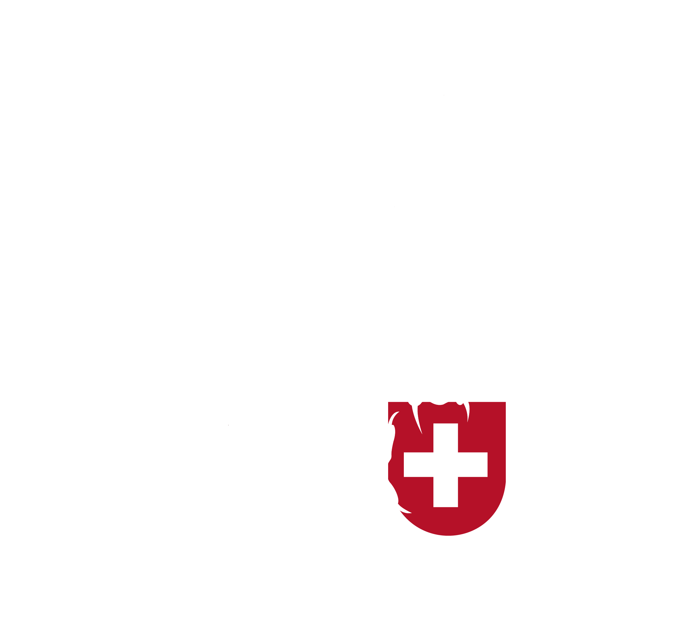 Phoenix Helvetica Logo