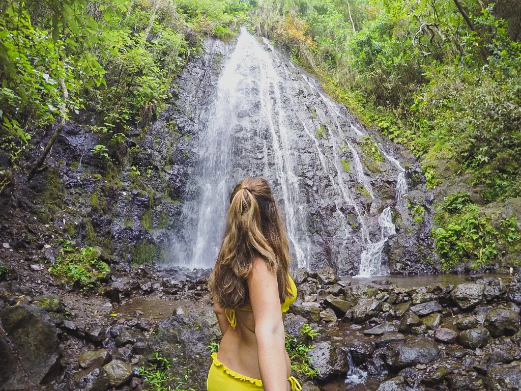 Rainforest Waterfall and Movie Sites Tour