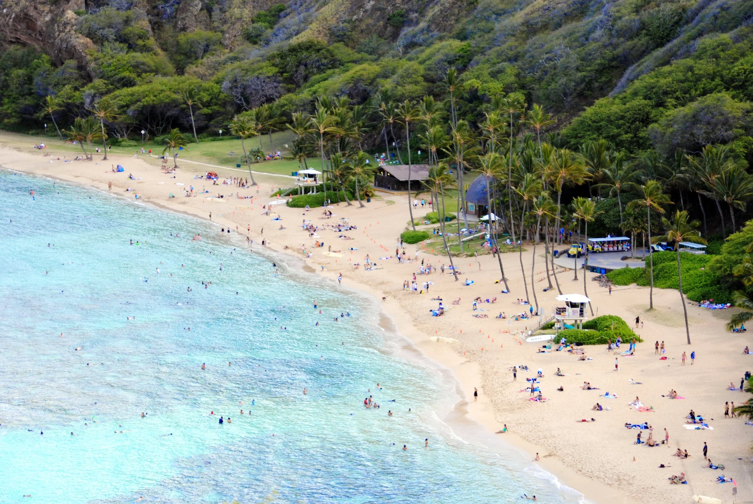 Hanauma Bay Snorkeling
