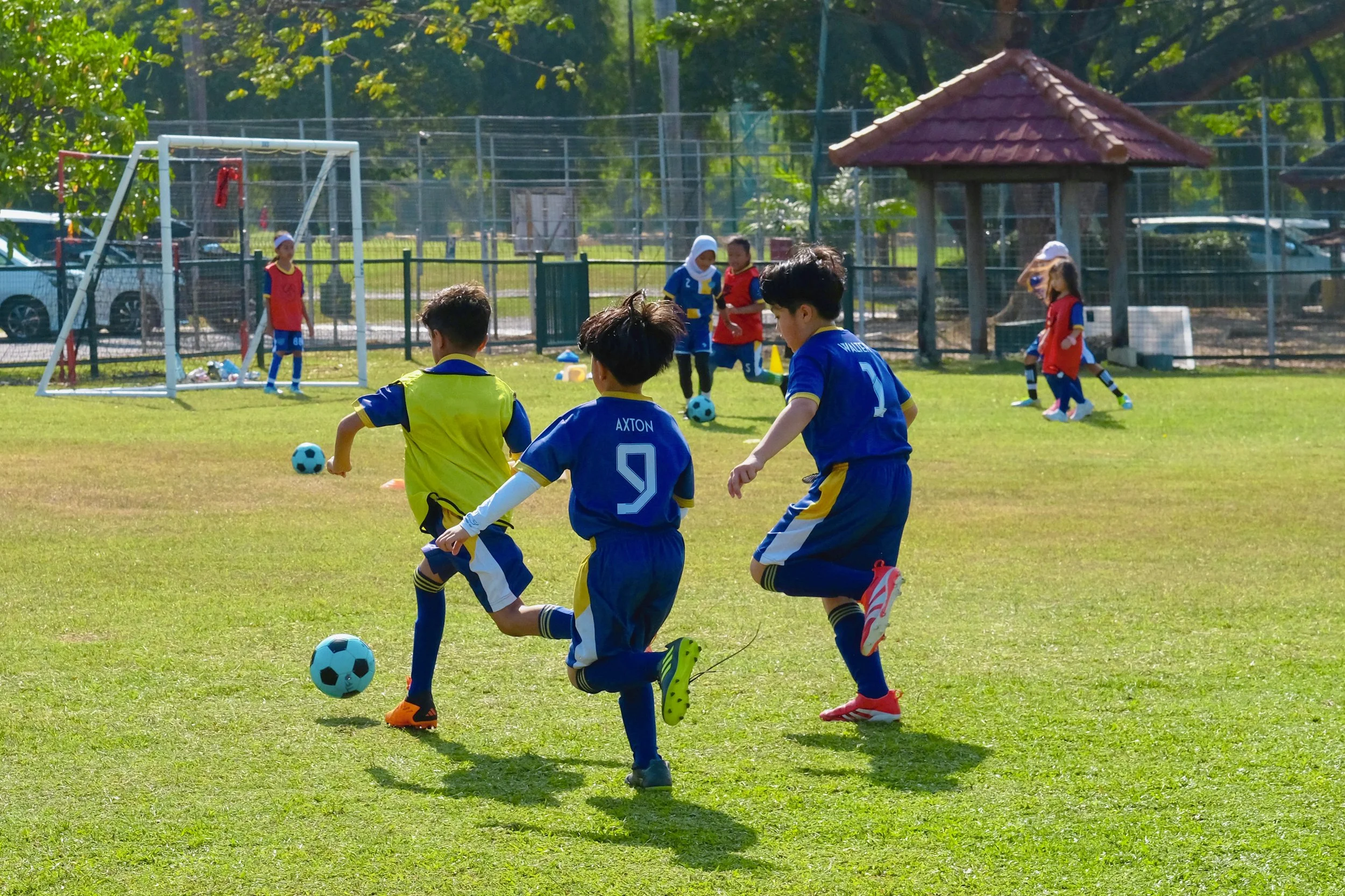 Tigers Academy gallery photo