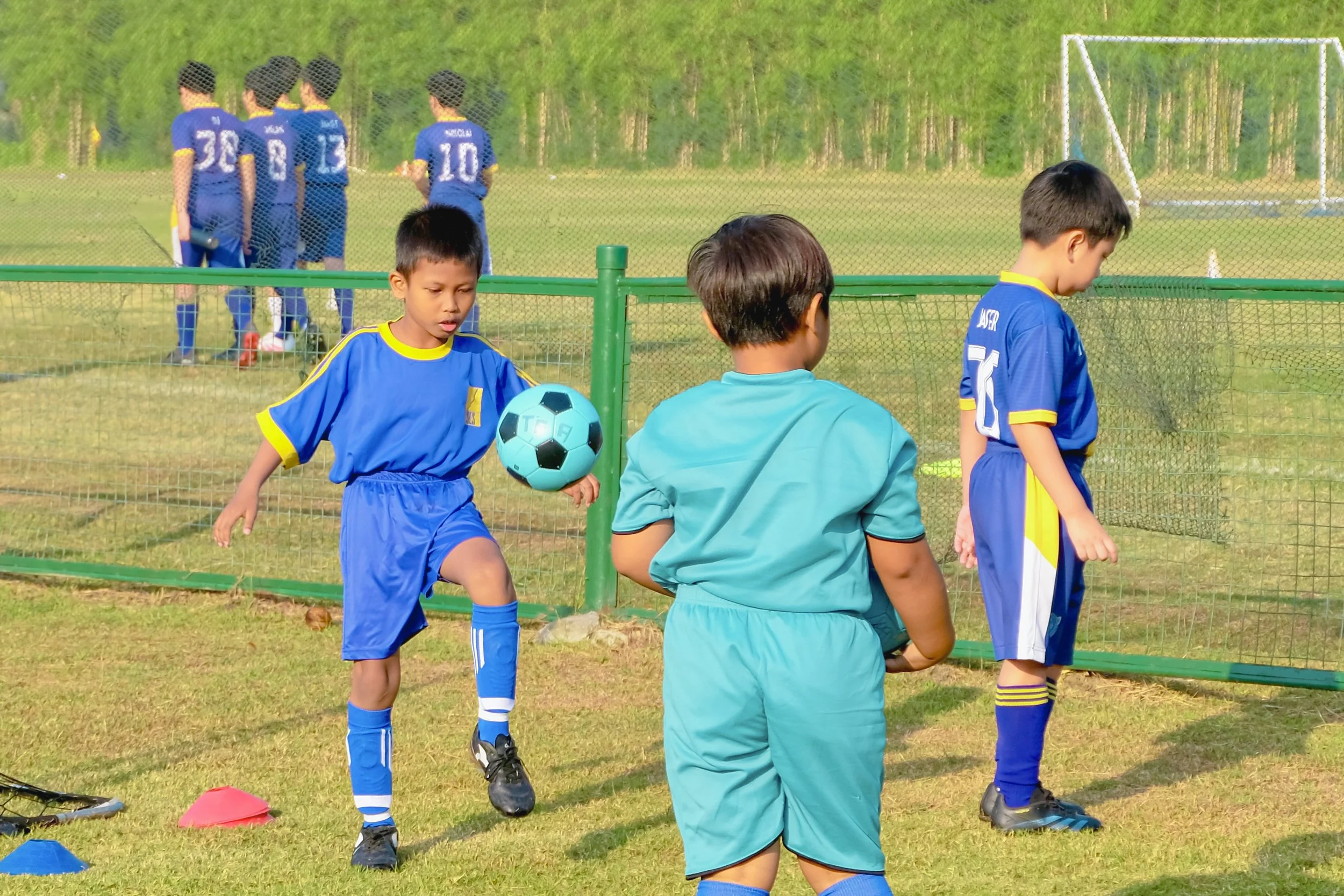 Tigers Academy gallery photo