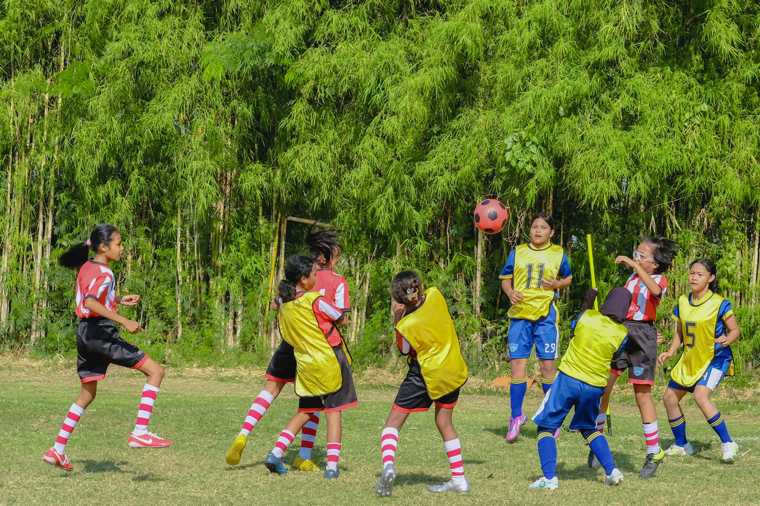 Tigers Academy gallery photo