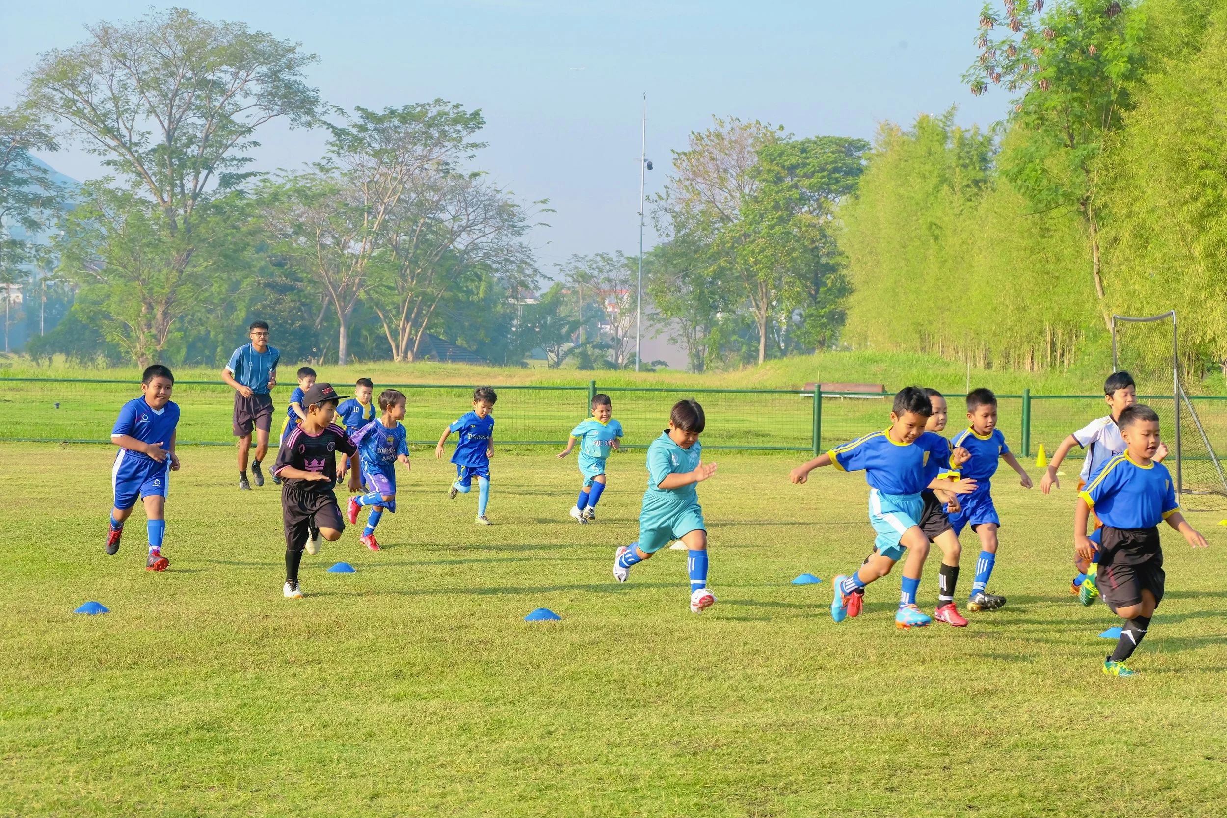 Tigers Academy gallery photo