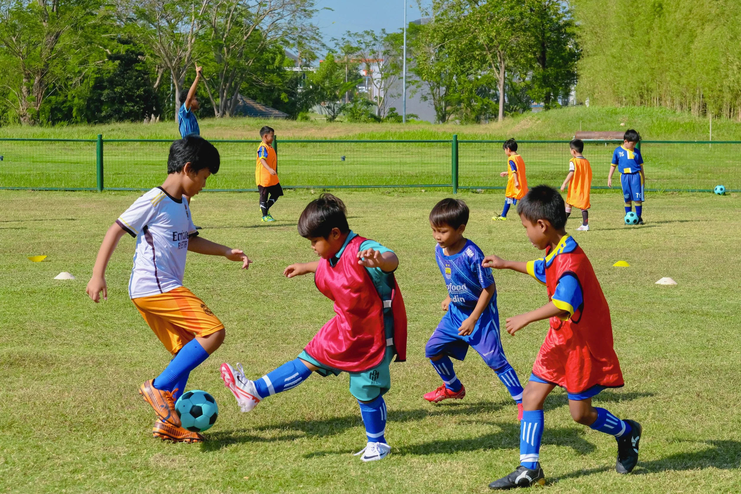 Tigers Academy gallery photo