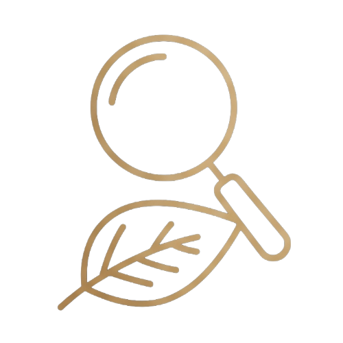 Path A Foundation Icon