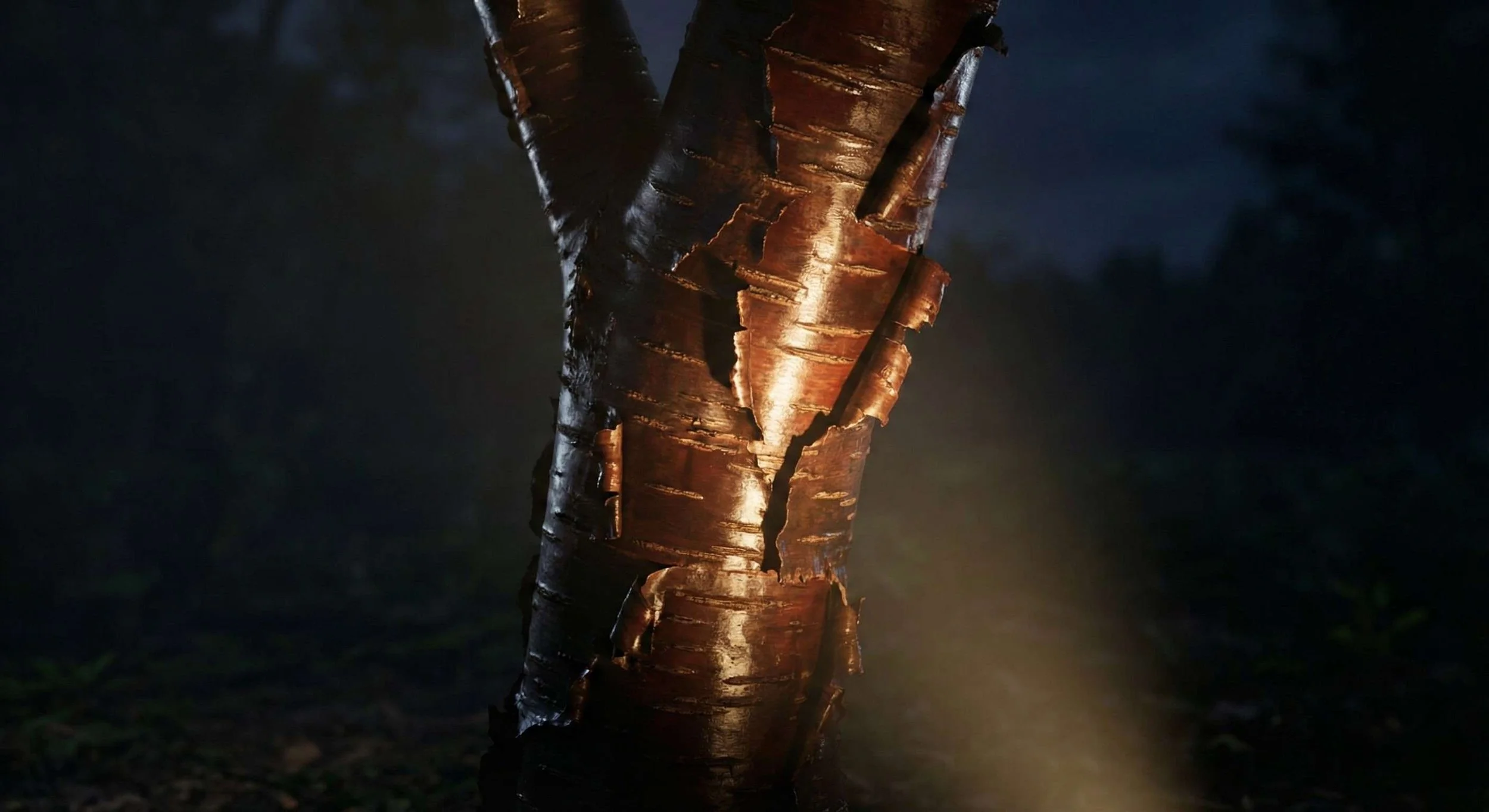 Nocturnal lighting simulation on mahogany bark - 3D Garden Modelling UK