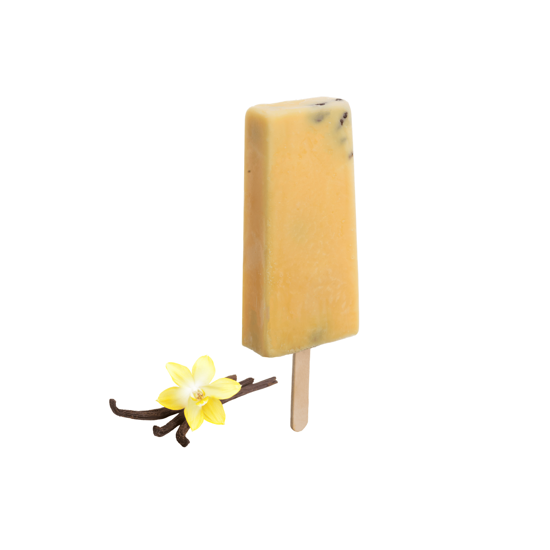 Paleta de leche de vainilla