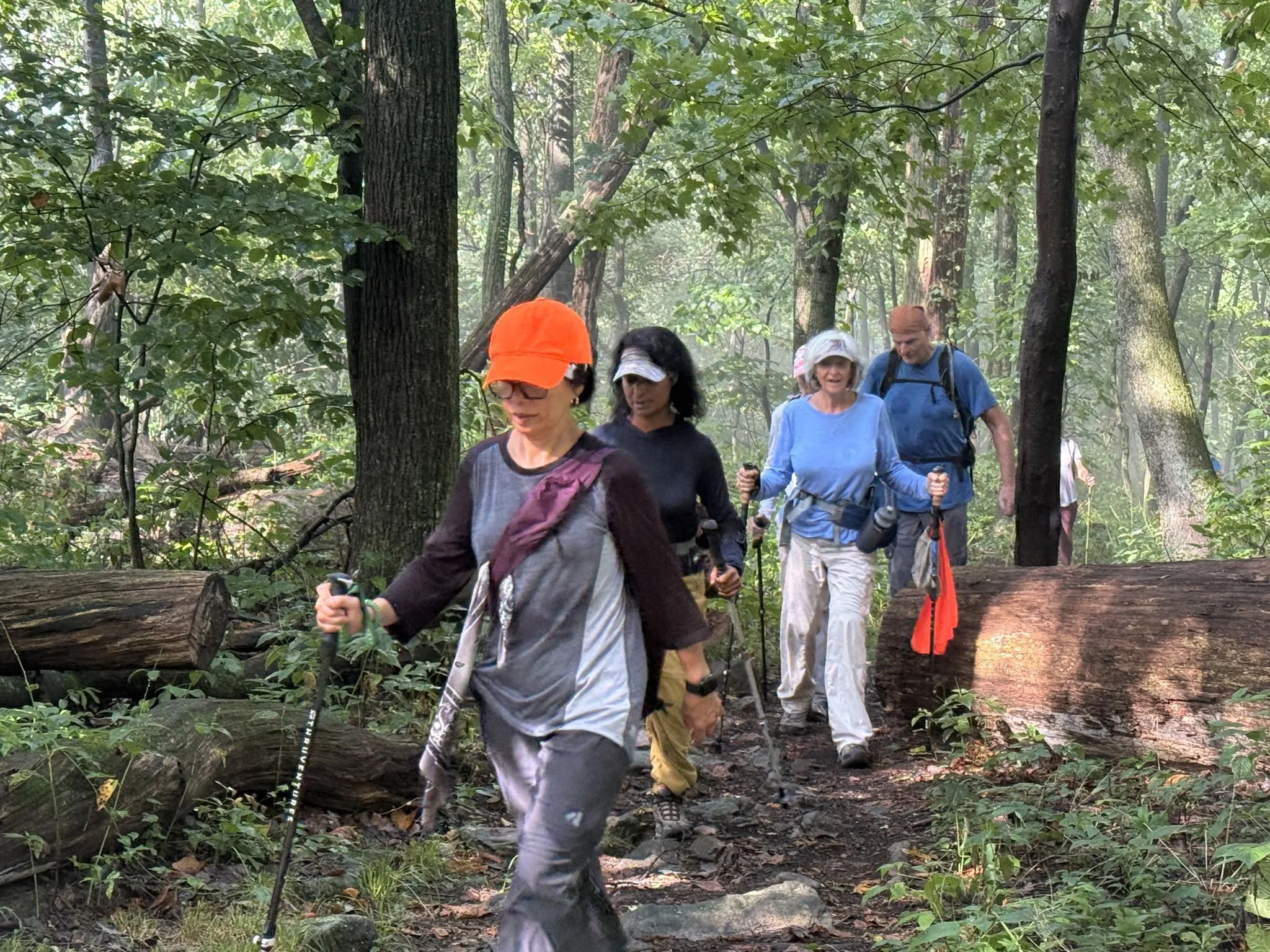 Susquehanna Appalachian Trail Club
