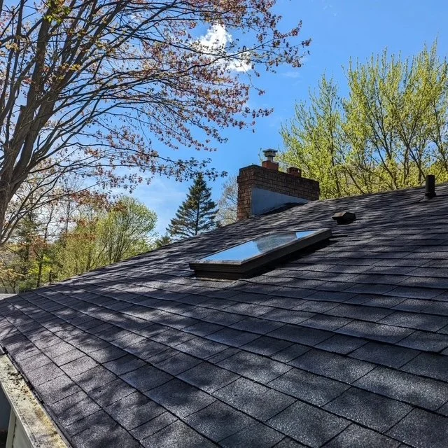 Roof after Fresh Roof rejuvenation