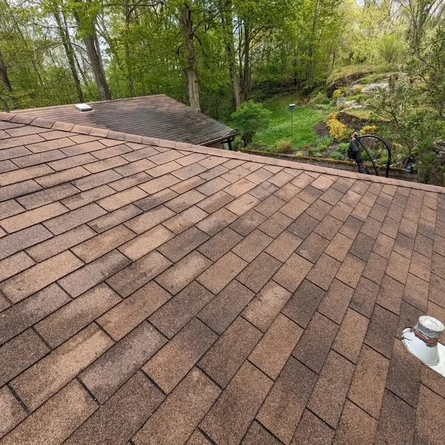 Roof after Fresh Roof treatment