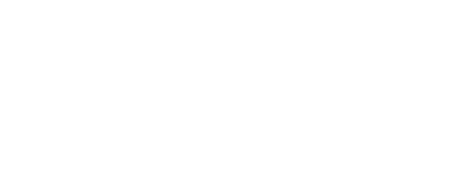 LMN8