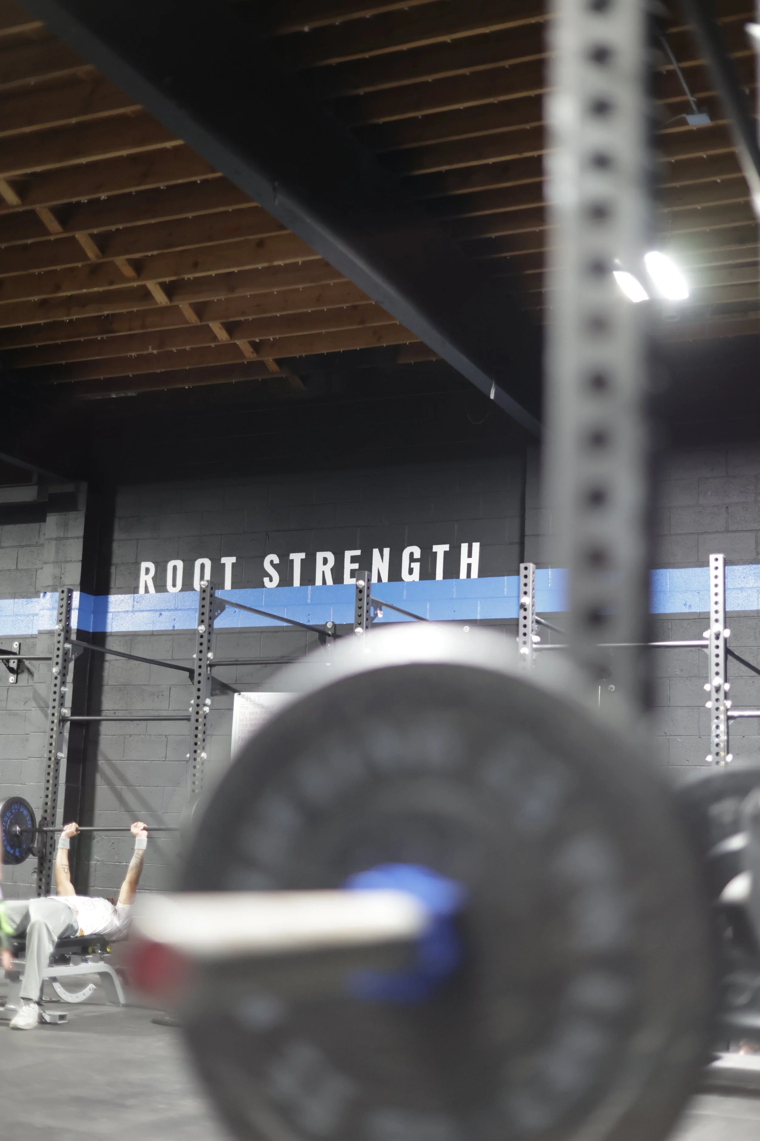 Gym trial Seattle - Root Strength Georgetown 2 week trial
