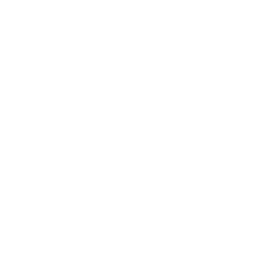 Plumbing services icon featuring a plunger.