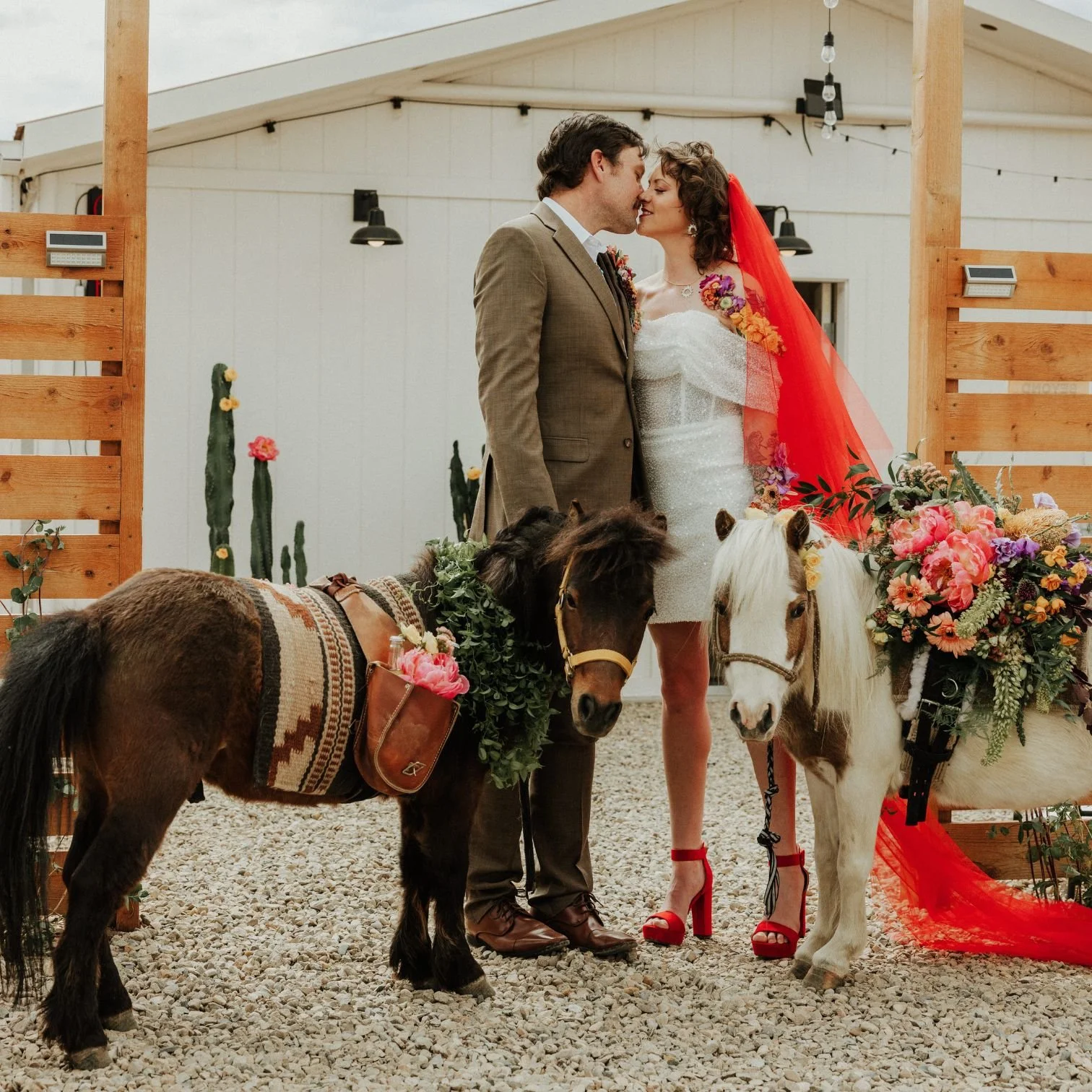 Shutterfreek New Mexico Wedding & Elopement Photographer