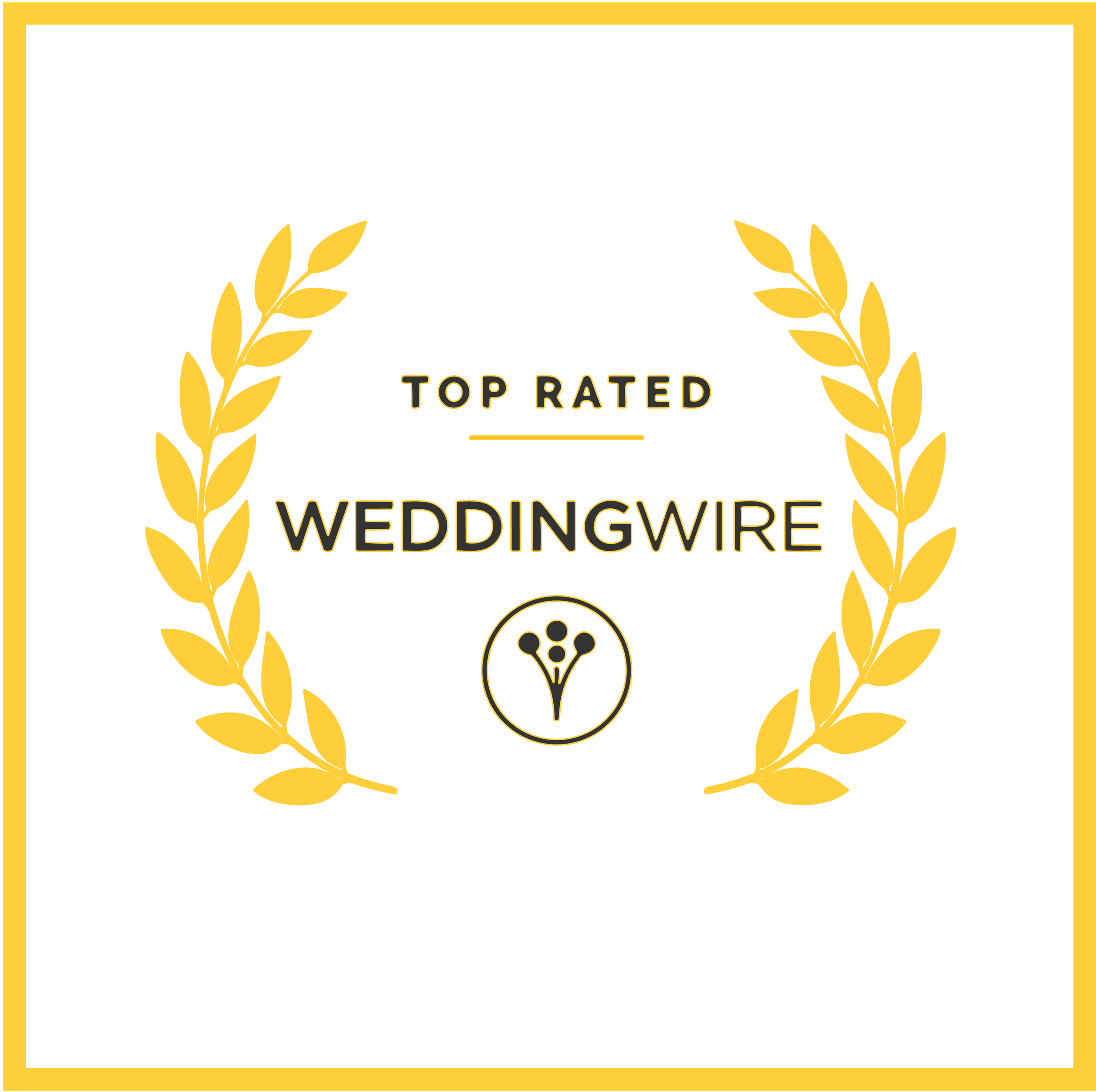 WeddingWire award received by Ansar Violin
