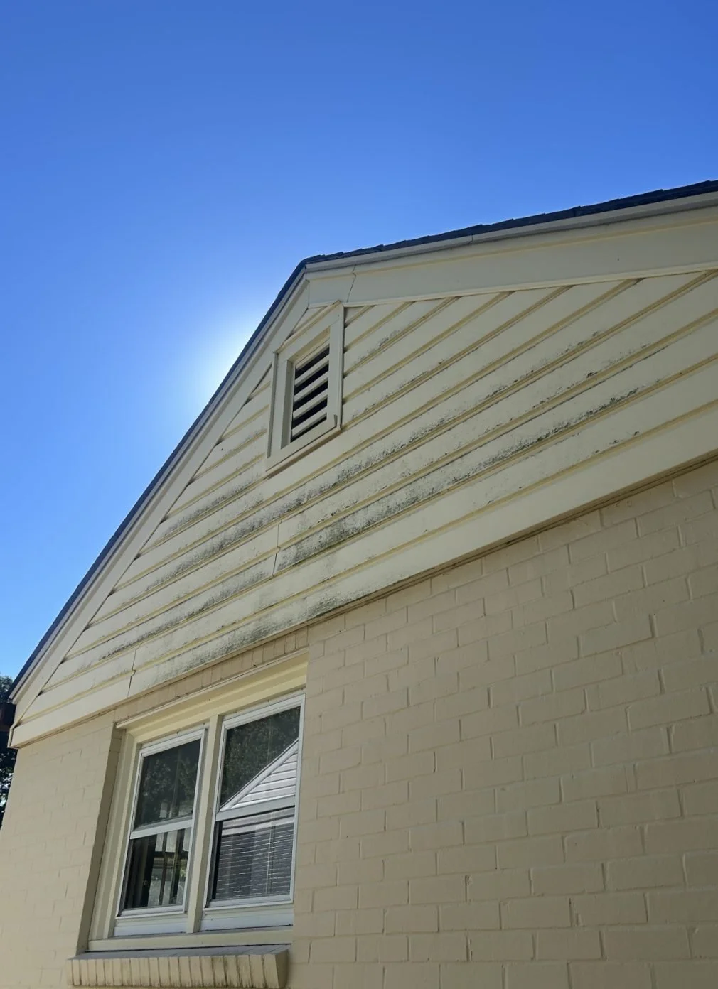 House siding and brick before cleaning