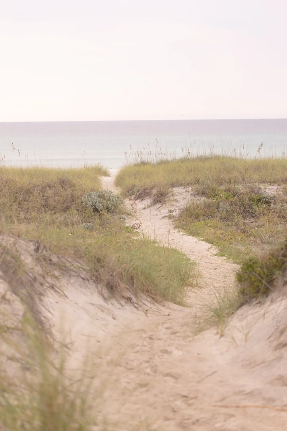 Sandy dune path leading to the Gulf
