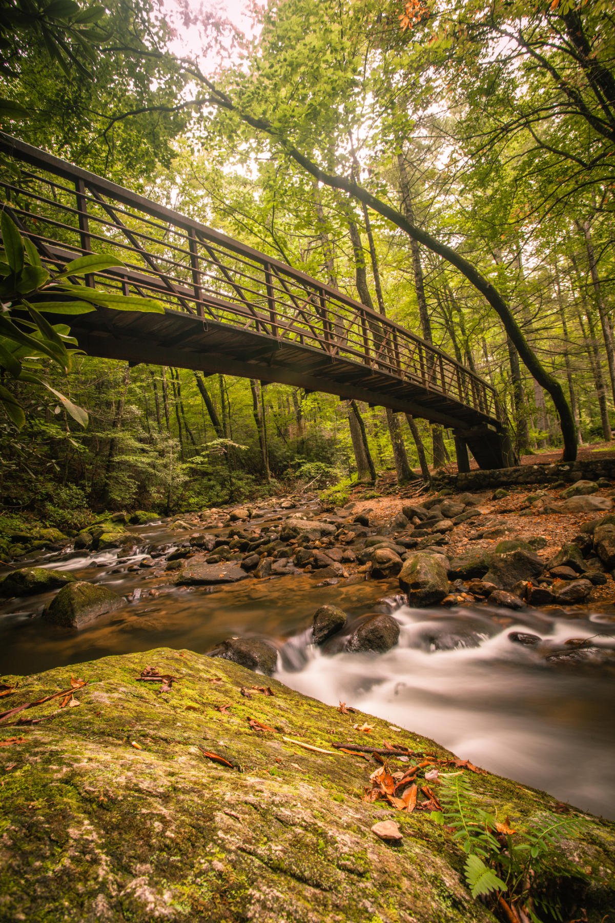 The lush, river-filled valley of Jones Gap State Park, a haven for trout fishing and nature lovers seeking solitude near the Riverdaze retreat.