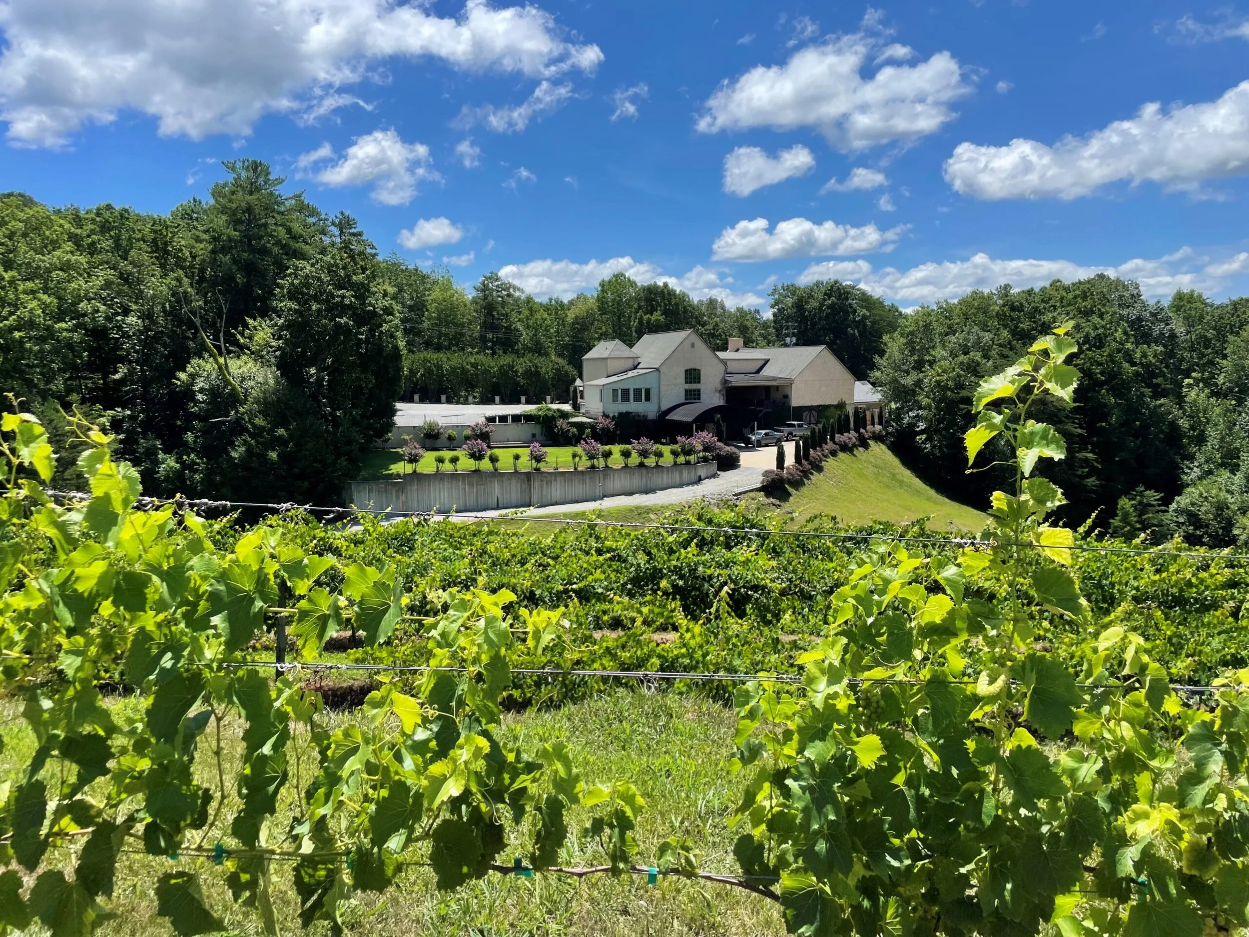 Sipping local wines on a terrace overlooking the vines and Table Rock at Victoria Valley Vineyards, minutes from the Riverdaze cabin.