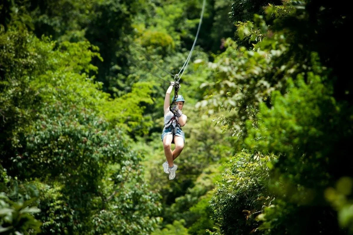 A thrilling mountain canopy adventure at Upstate Zipline, offering high-speed lines and sky bridges for families staying at Riverdaze.