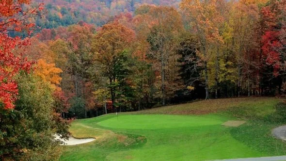 A unique golfing experience featuring live alpaca caddies at Sherwood Forest Golf Course, an unforgettable memory for guests at Riverdaze.