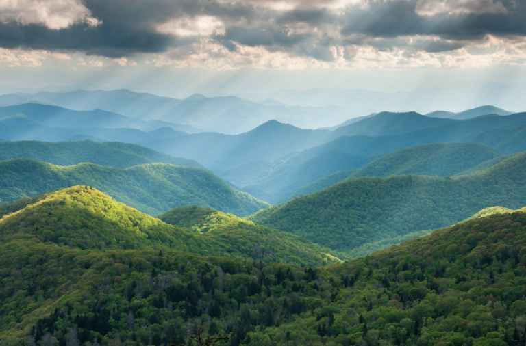 Endless mountain adventure and hiking trails in the majestic Pisgah National Forest, located just across the border from the Riverdaze sanctuary.