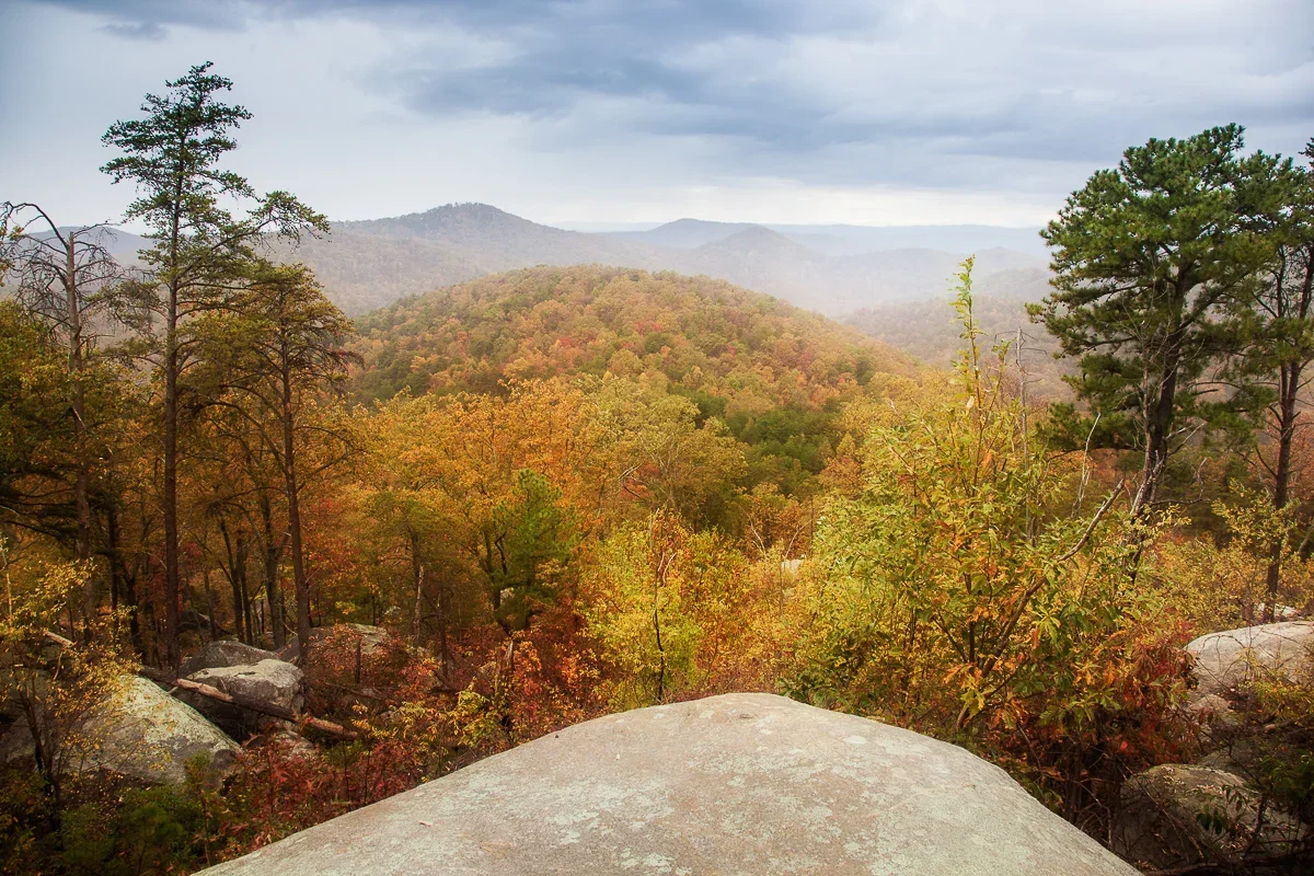 A quiet nature walk through biologically diverse wildflowers and mountain peaks at Nine Times Preserve, located near the Riverdaze escape.