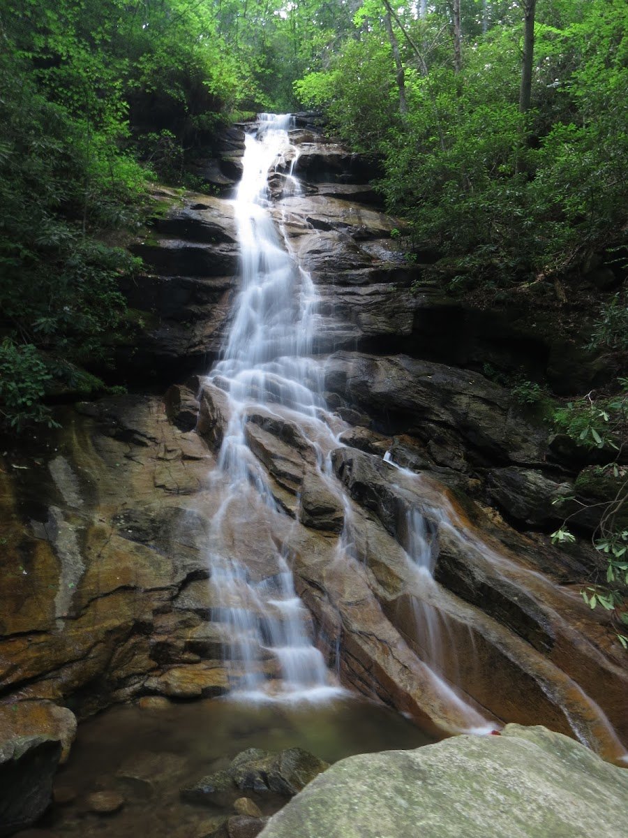 A haven for serious hikers and nature lovers seeking solitude along the Middle Saluda River, located near the Riverdaze sanctuary.