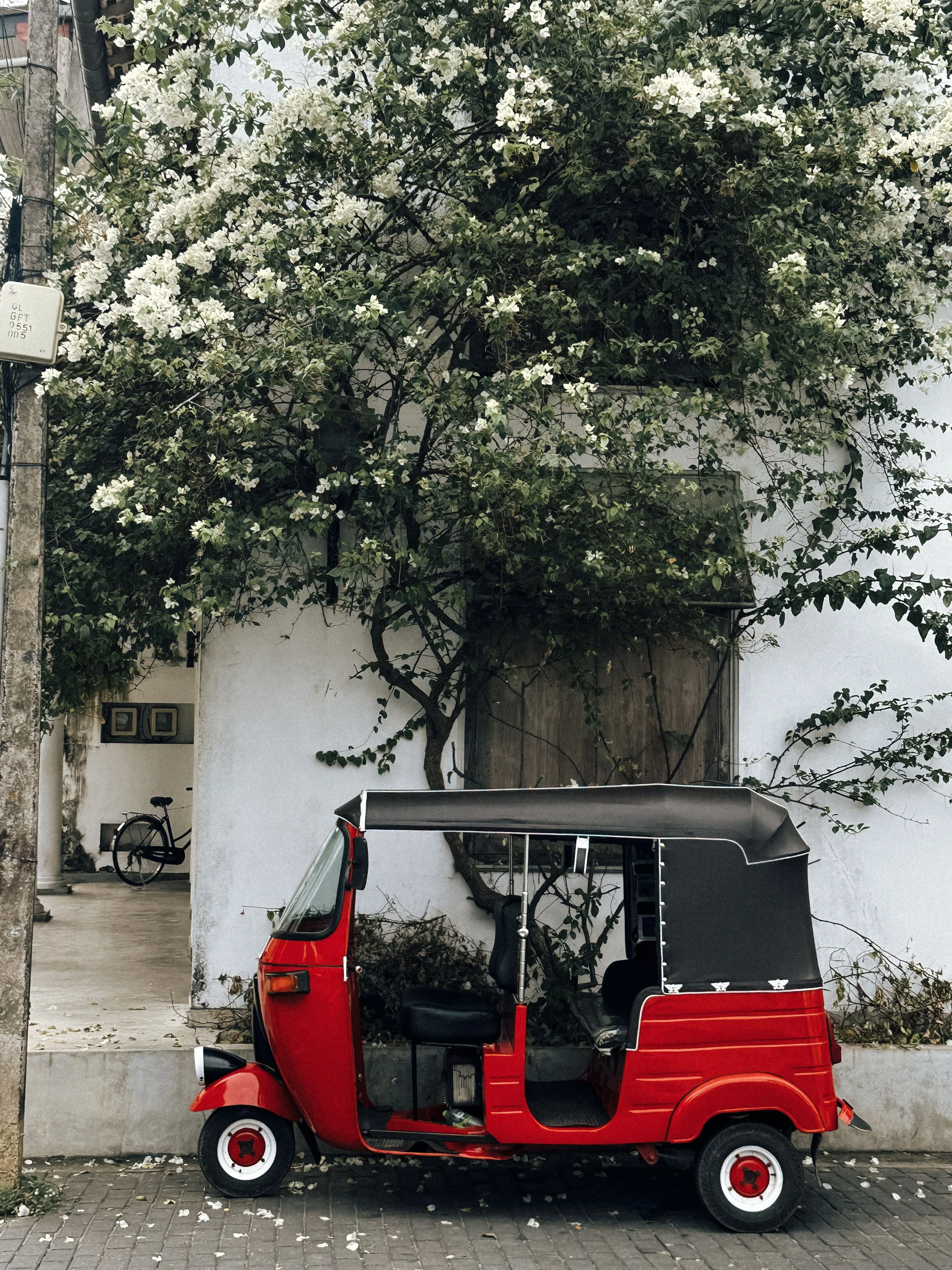 Tuk Tuk cultural tour through Stone Town Zanzibar