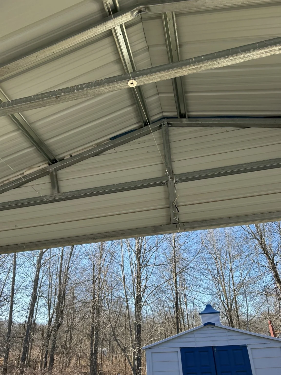Eco Mouse Pest Control project: garage entry-point inspection