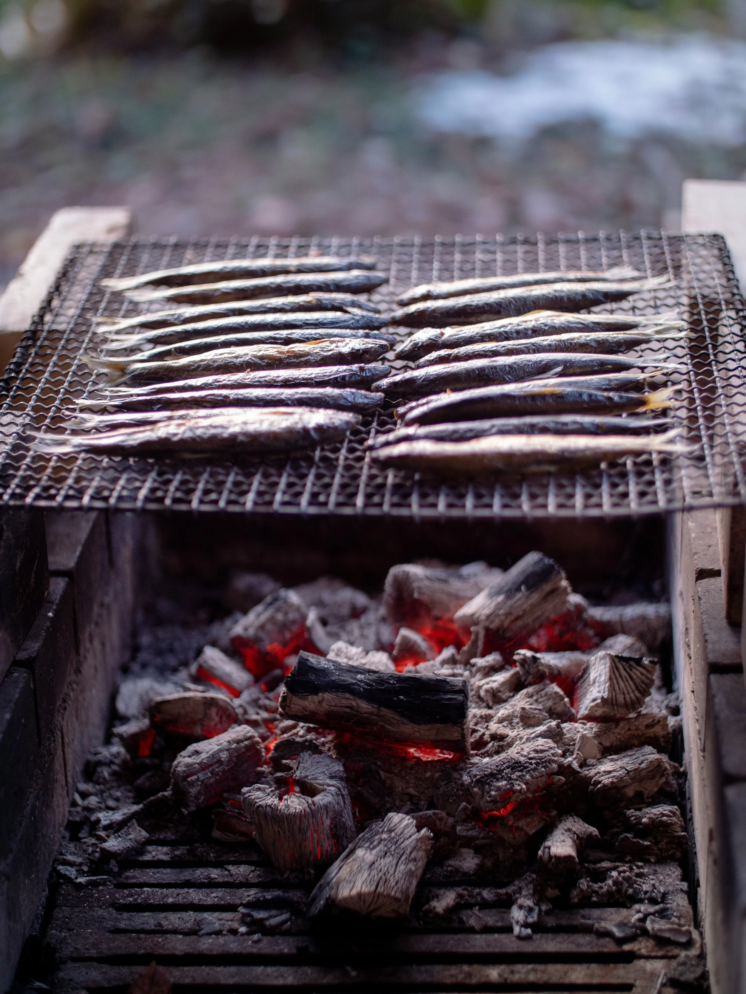Grilling fish over open coals