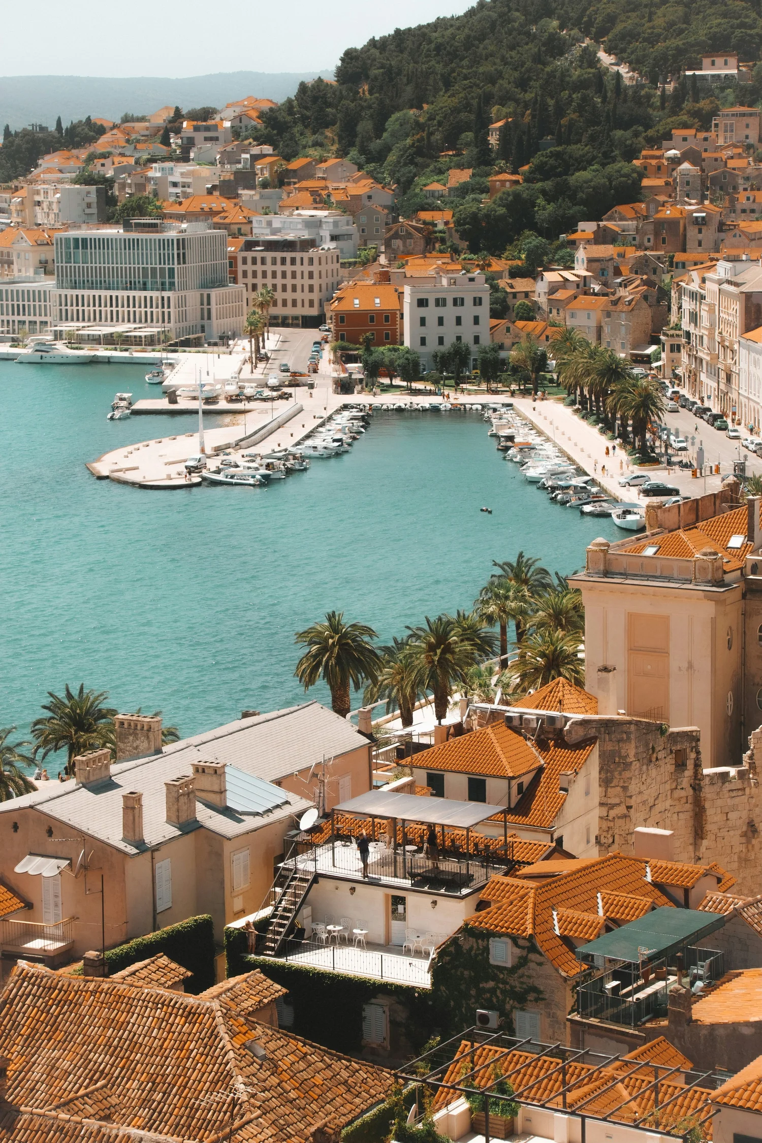 DALMATIA